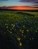 Badlands at Sundown